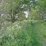 別荘 Havelnixe Bahnitz