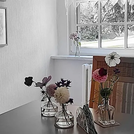 Havelnixe Vakantiehuis *