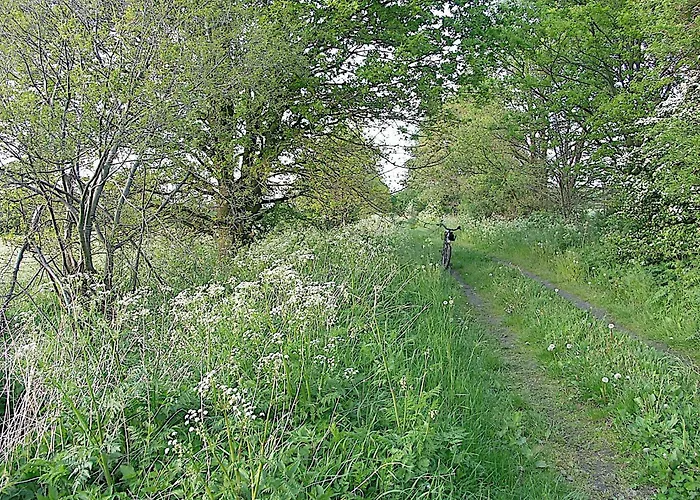 Casa de Férias Havelnixe Bahnitz